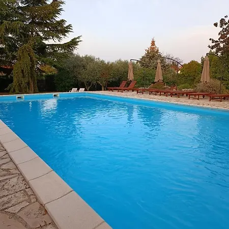 Hotel Holiday Szálloda