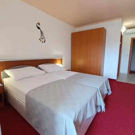 Hotel Holiday 3* Buici (Istria)